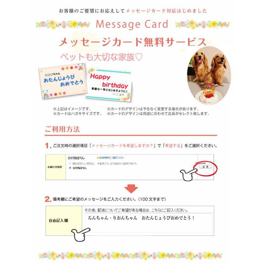 犬 猫 兼用 cake ペットケーキ プチタルト チーズ ペット用 誕生日 記念日 |  | 05