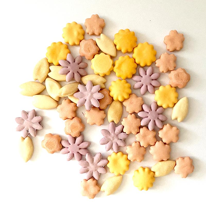 198円 若者の大愛商品 期間限定 犬用 わんちゃん用 クッキー ビスケット お花畑のビスケット トッピング おやつ