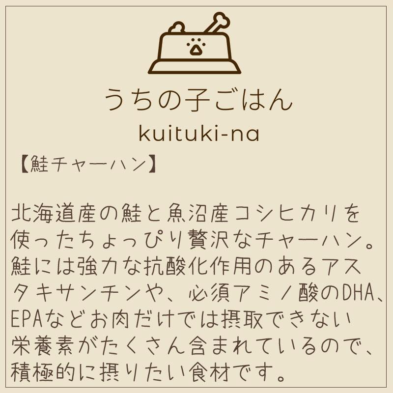 国産 無添加 手作り 犬用ごはん うちの子ごはん kuituki-na 鮭チャーハン |  | 04