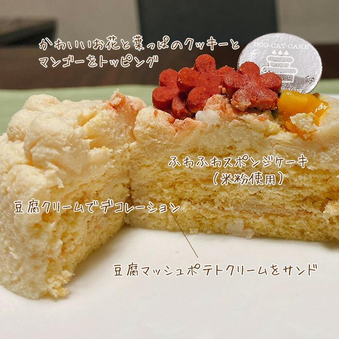 わんちゃんお誕生日こだわりセット 愛犬のお祝いケーキ 米粉豆腐クリームバースデーケーキと手作り 犬用ごはん  鶏肉の雪下人参クリームシチューのセット |  | 03