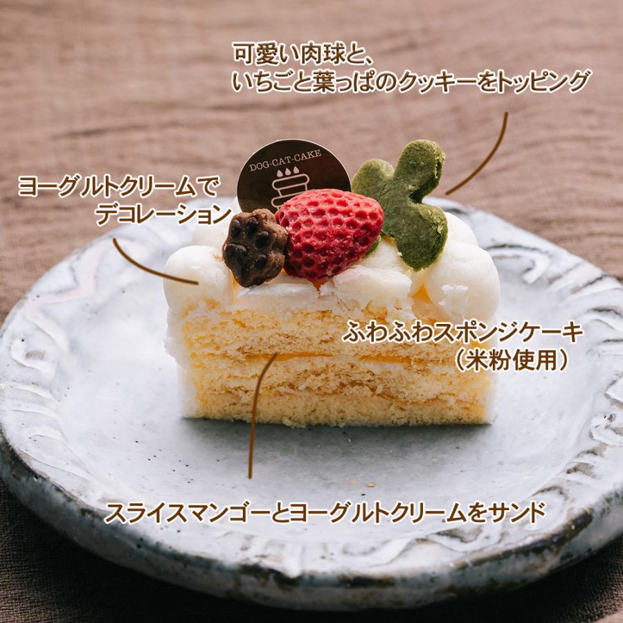 わんちゃんお誕生日こだわりセット 愛犬のお祝いケーキ マンゴー入り米粉ヨーグルトケーキと手作り犬用ごはん 鶏肉の雪下人参クリームシチューのセット |  | 02