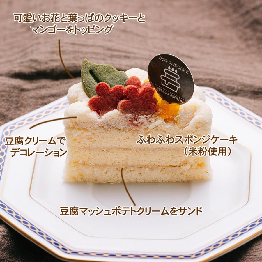 国産 無添加 手作り クッキーおまけ付き！犬用 バースデーケーキ 愛犬のお祝いケーキ 米粉豆腐クリーム(グルテンフリー） |  | 02