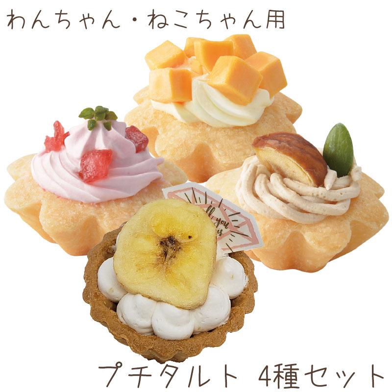 完売 バナナタルトが入ったプチタルトケーキセット バナナ 苺 栗 チーズ 誕生日ケーキ バースデーケーキ いぬ用 ねこ用 ペットケーキ Pf 暮らしの総合デパートケベック 通販 Yahoo ショッピング