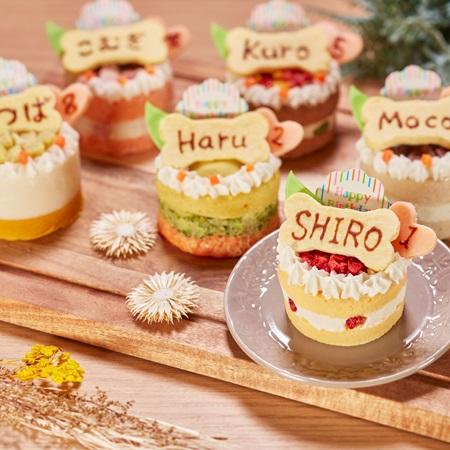 【Wagわん】犬・猫用 誕生日ケーキサーモンケーキ お名前・年齢入り バースデーケーキ |  | 02