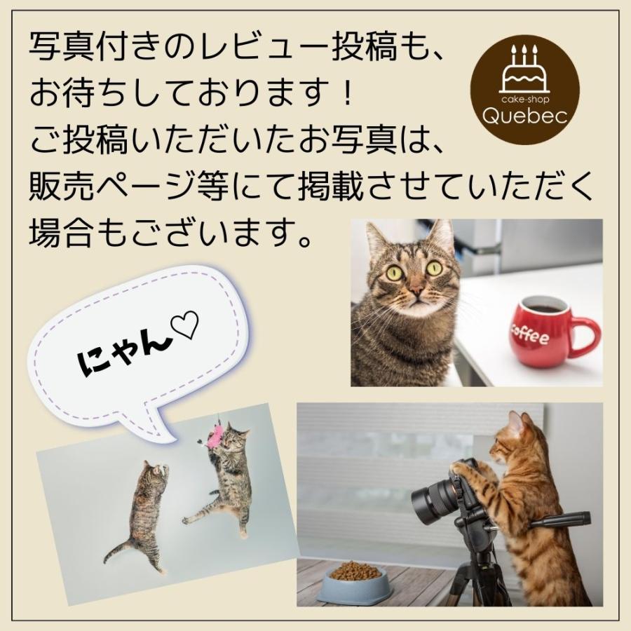 【Wagわん】犬・猫用 誕生日ケーキサーモンケーキ お名前・年齢入り バースデーケーキ |  | 05