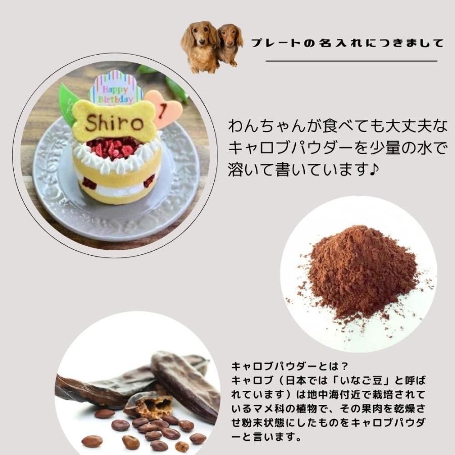 【Wagわん】犬・猫用 誕生日ケーキサーモンケーキ お名前・年齢入り バースデーケーキ |  | 06