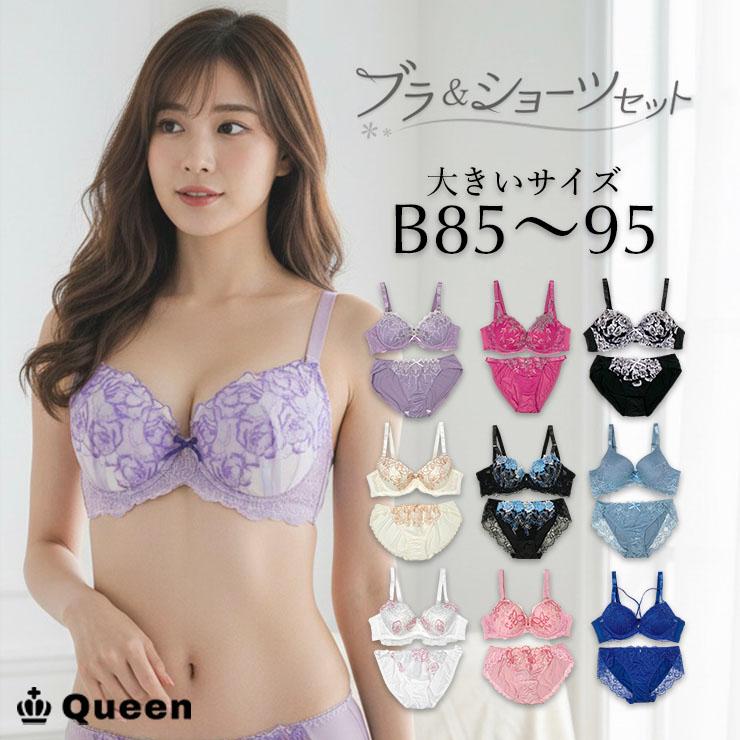 ブラジャー ショーツセット 刺繍レース シンプル 大人かわいい 大きい