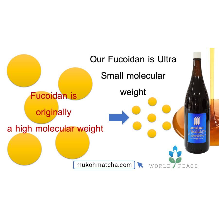 資料付・送料無料 ] 超低分子液体フコイダン 1800ml 一升瓶 : World