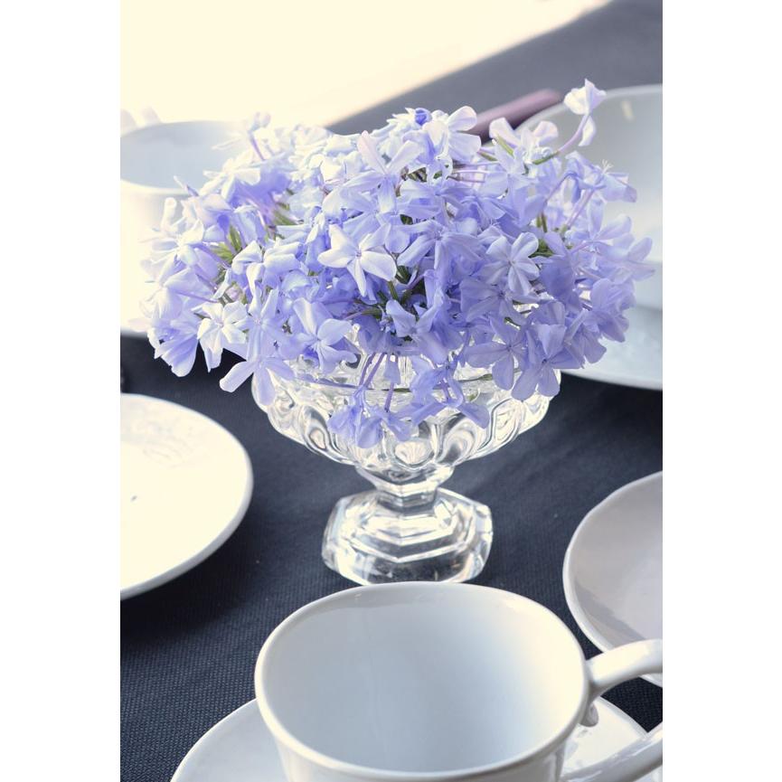 AMELIA Glass ガラススタンドフラワーベース Mサイズ 3007 777-181-000