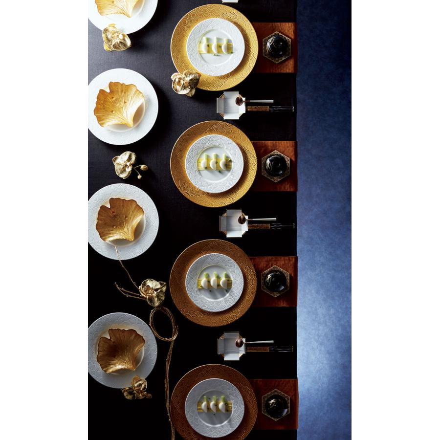 取り寄せ商品】SURGE サージ プレート 25cm 7色 MG2501【アンダー