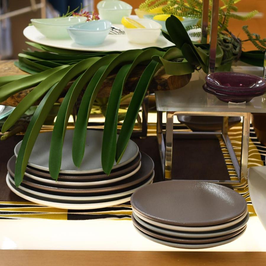 取り寄せ商品】NEOFUSIONフラットプレート 24cm 5色RA24001 : 輸入