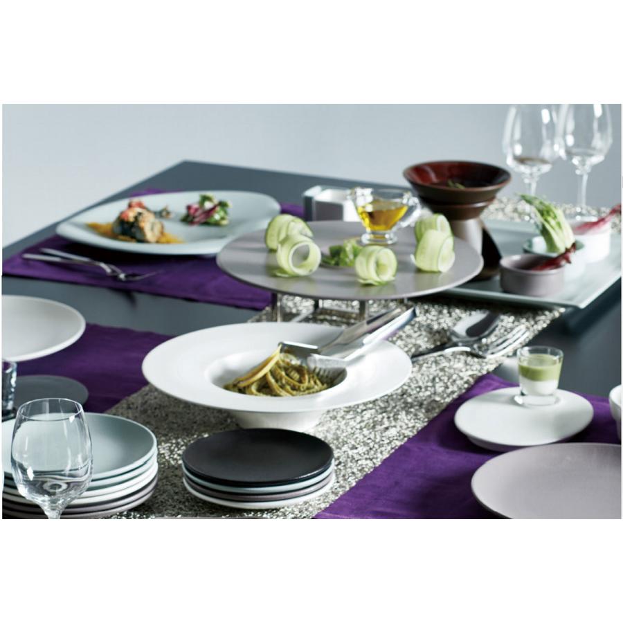 取り寄せ商品】NEOFUSIONフラットプレート 24cm 5色RA24001 : 輸入