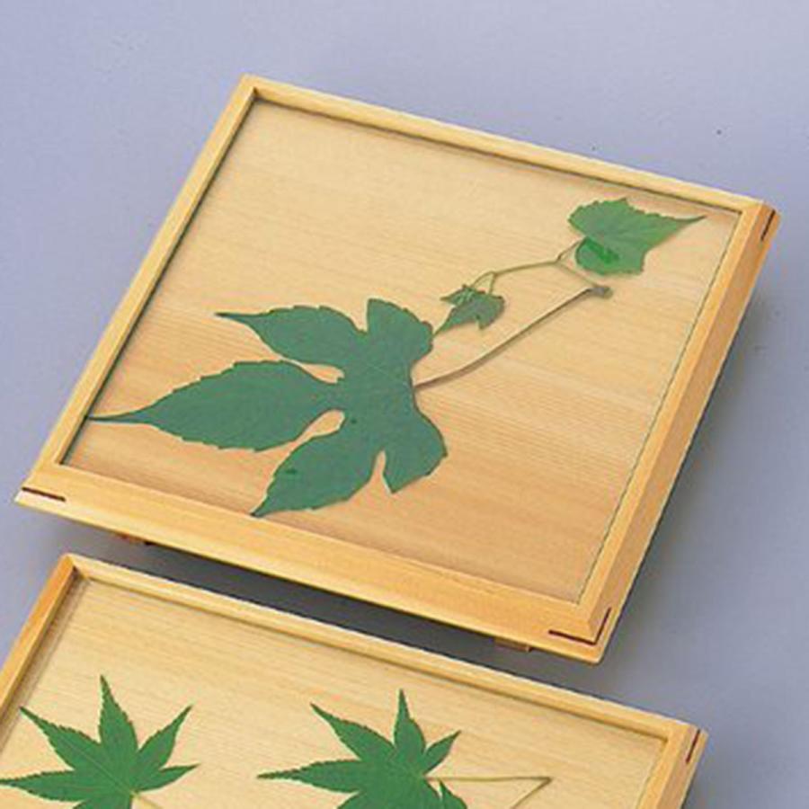 取り寄せ商品】用美 YOUBI 7寸正角前菜皿（ガラス付） 38486【うどん