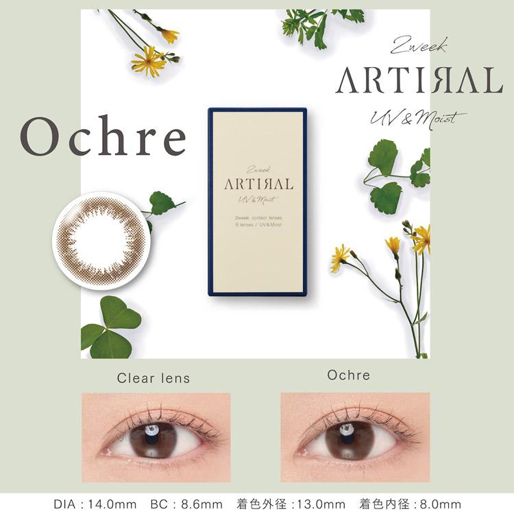 ARTIRAL 【クーポン利用で20%OFF】2week アーティラル UV&モイスト (1 