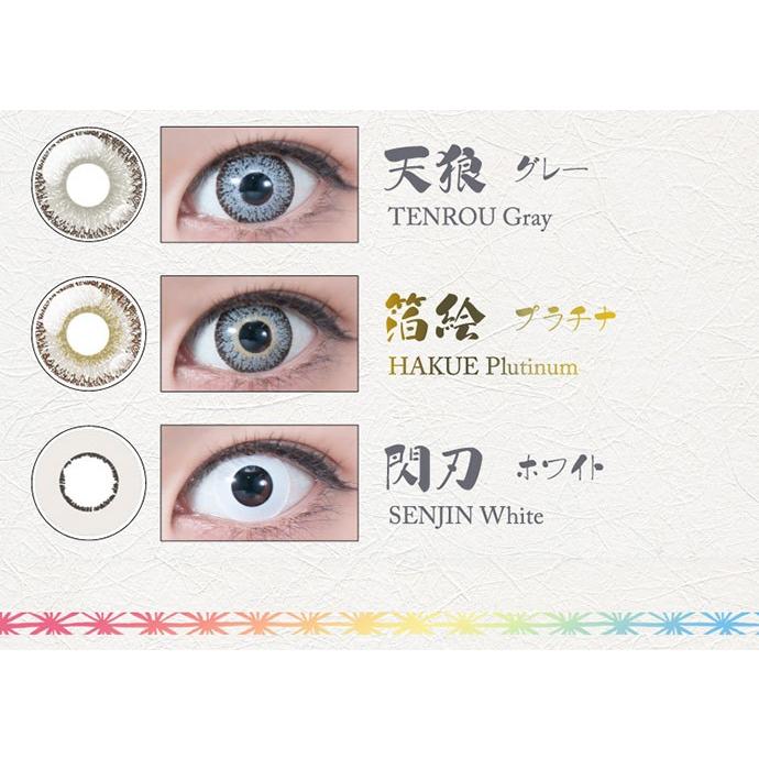 パーフェクトシリーズワンデー Perfect Series1day(1箱6枚入)( 送料