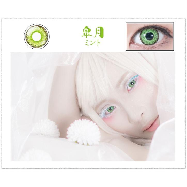 パーフェクトシリーズワンデー Perfect Series1day(1箱6枚入)( 送料