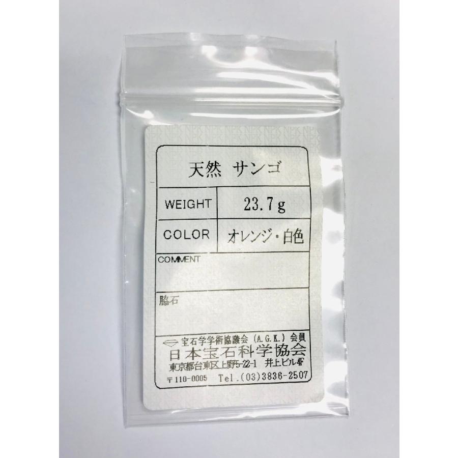 天然サンゴ K18 丸玉ネックレス イヤリングセット ソーティング付き