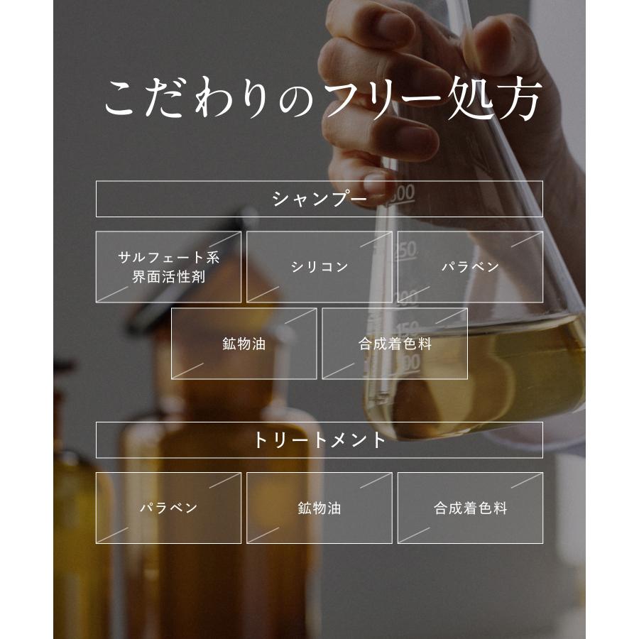 Amprem アンプレム シャンプー トリートメント ボトルセット ケラチン ダメージケア 広がり うねり 枝毛 濃縮 浸透 ケラチン 高補修 |  | 15