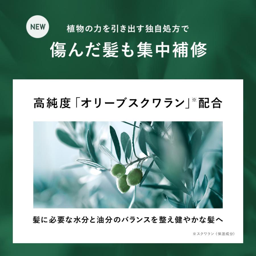 ヘアオイル ヘアミルク BOTANIST オイル ミルク ボタニスト ボタニカル 髪 ヘアケア トリートメント ダメージ アウトバス ぼたにすと|アンドハビット|06
