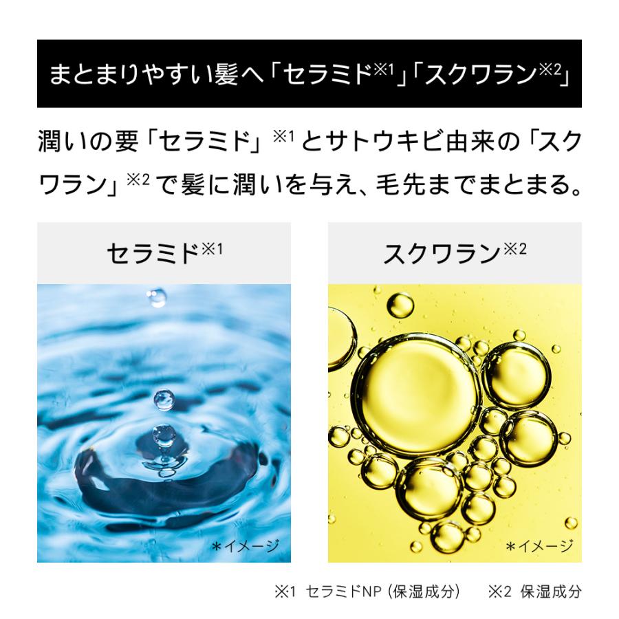 BOTANIST（ボタニスト） ヘアバーム スタイリング 2025年夏限定 バーム