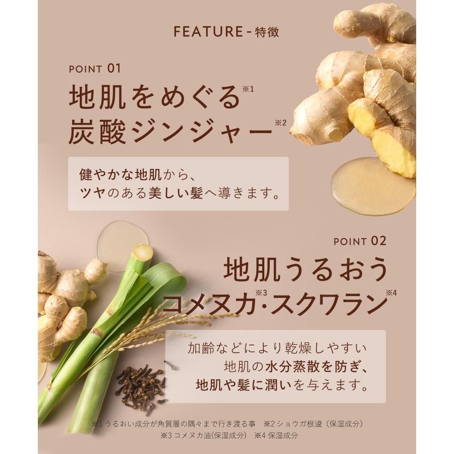 BOTANIST ヘアオイル ROOTH ボタニスト ルース エイジングケア