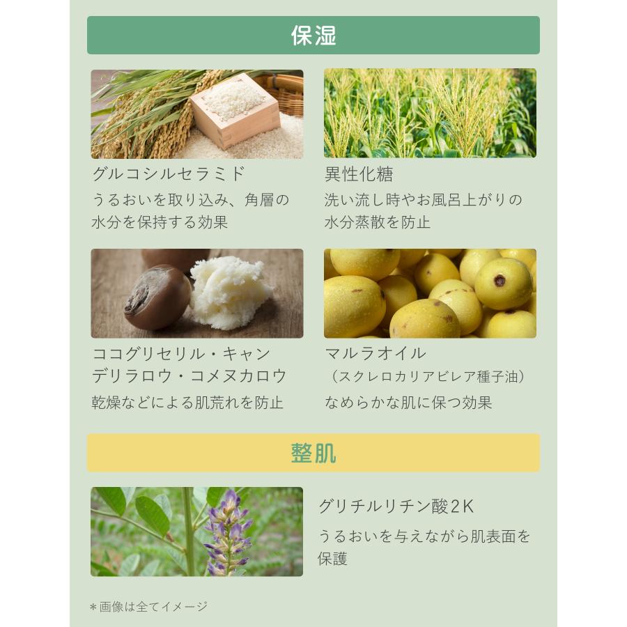 ミルクローション BOTANIST ボタニスト ベビー ボタニカルベビーミルクローション べビーローション 無添加 保湿 低刺激 高保湿 |  | 12