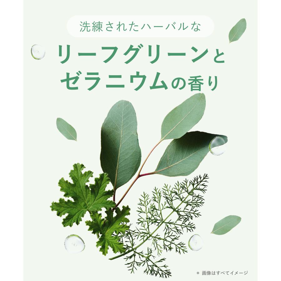 スクラブ BOTANIST ボタニスト ボディースクラブ デューイ ブライトケア ボディミルク セット 角質ケア 保湿 全身用 しっとり つるすべ肌 透明肌 | BOTANIST | 16
