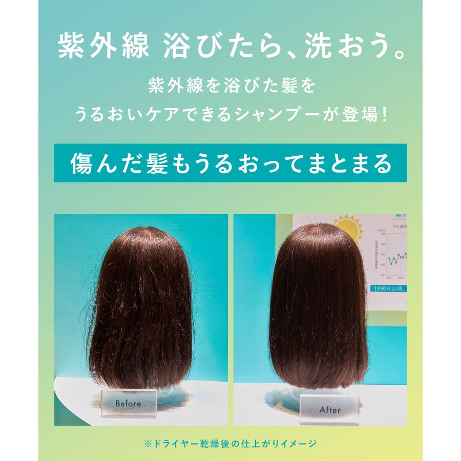 シャンプー シャンプーボトル本体 お得なセット シャンプースキンケア 乾燥ケア うねりケア 紫外線ケア メンズ レディース cpj | Dr.SYUWAN | 19