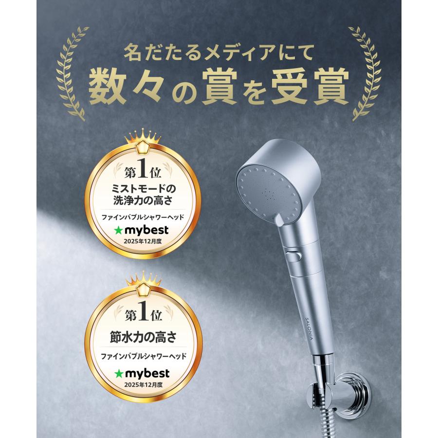 SALONIA（サロニア） シャワーヘッド ファインバブルクリア 塩素除去