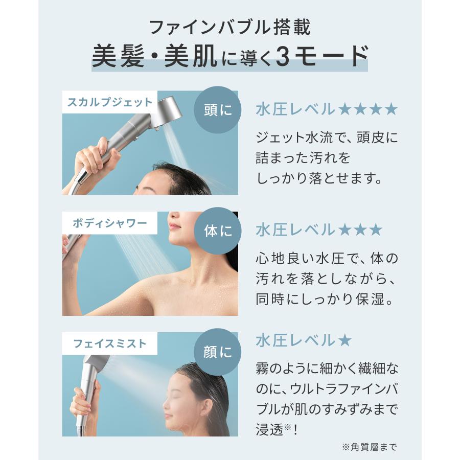 SALONIA（サロニア） シャワーヘッド ファインバブルクリア 塩素除去