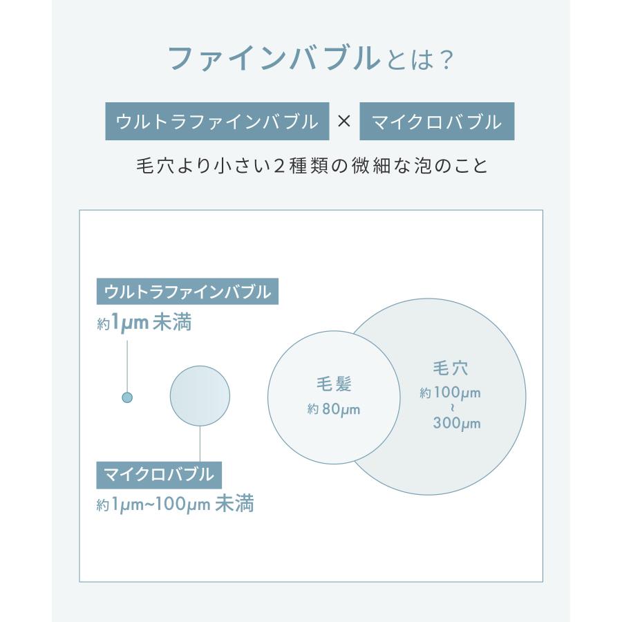 シャワーヘッド サロニア SALONIA ファインバブルクリア 塩素除去  シャワーヘッド ミスト フェイスミスト 30日間全額返金保証付き | SALONIA | 10