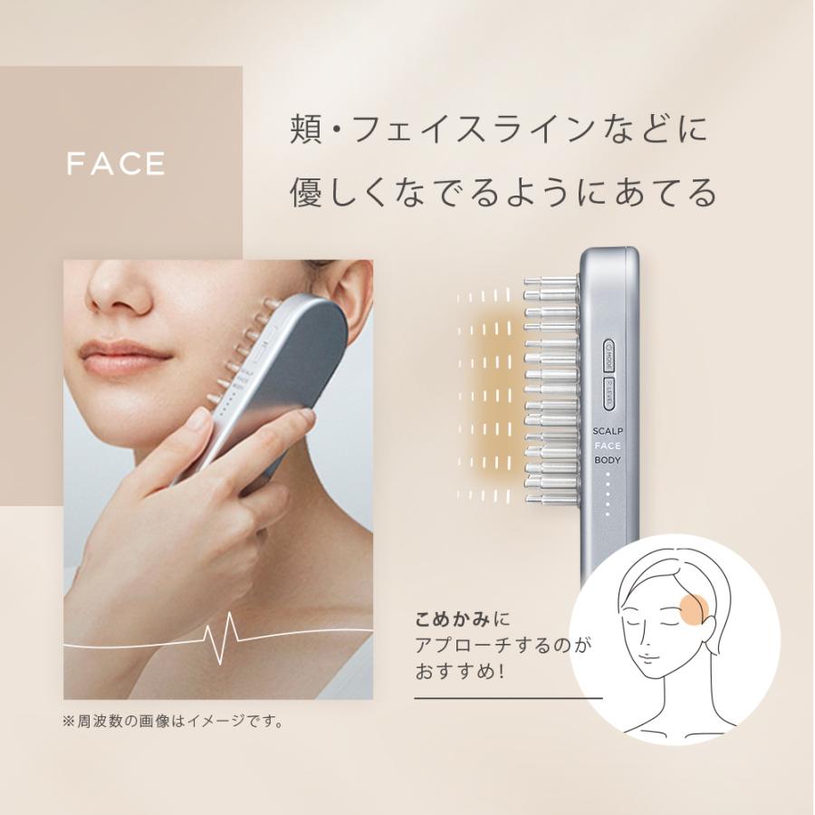 美顔器 SALONIA EMS リフトブラシ 電気ブラシ 美顔器ブラシ サロニア