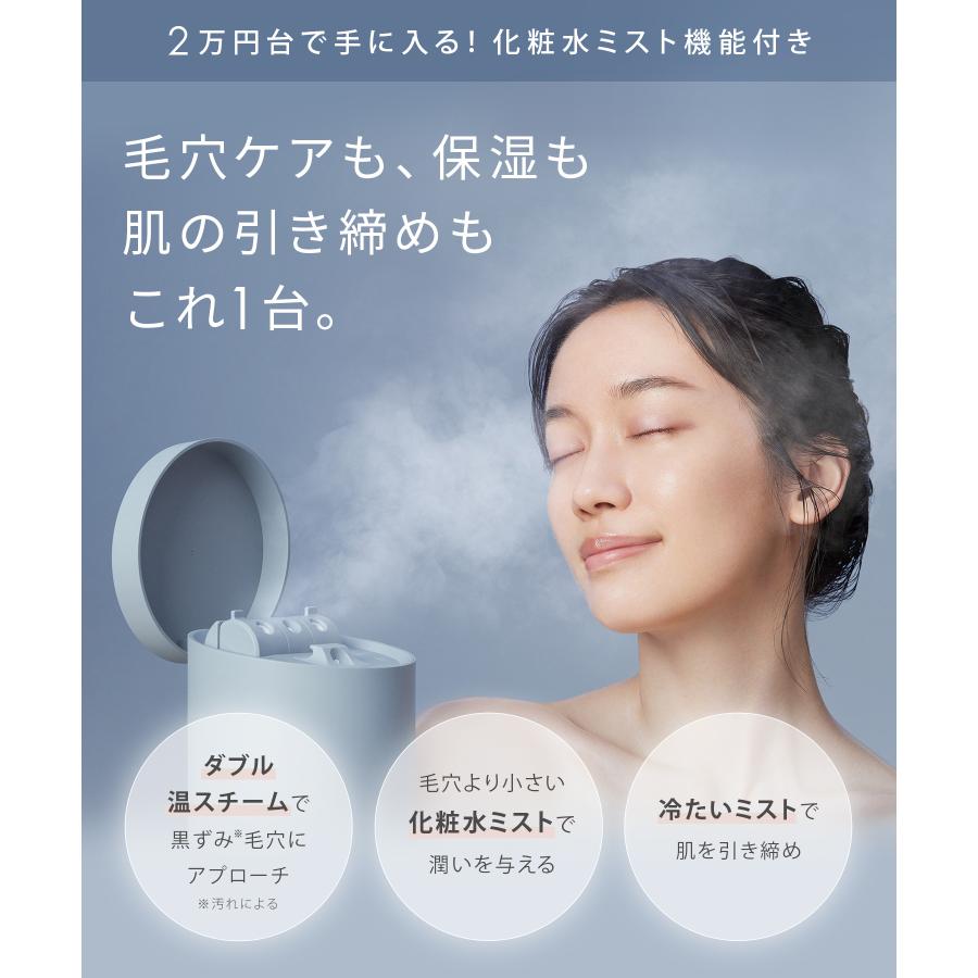 SALONIA（サロニア） スチーマー 美顔器 ピュアブライト スチーマー