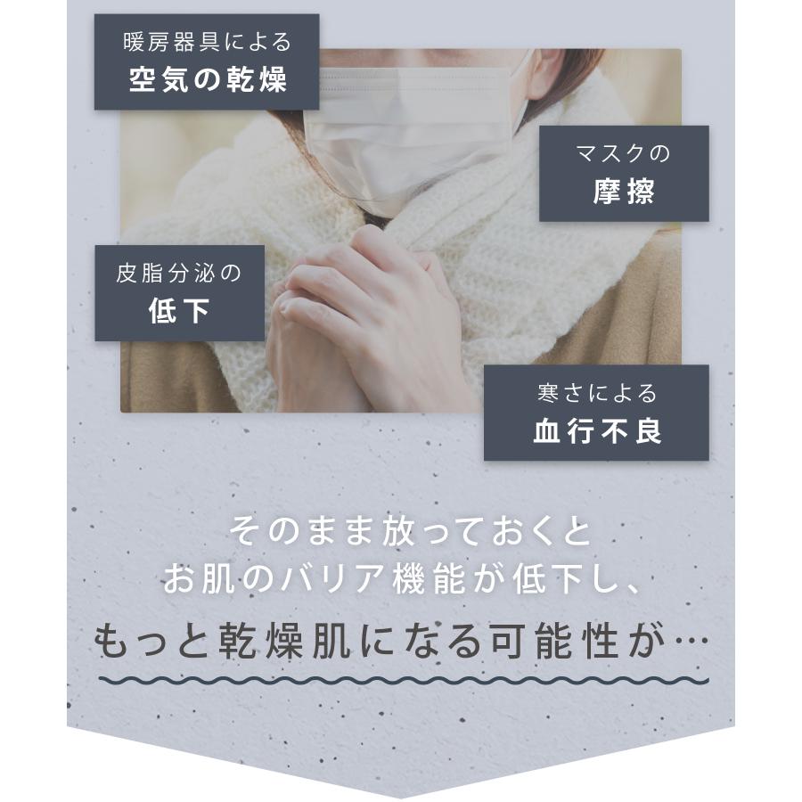 SALONIA（サロニア） スチーマー 美顔器 ピュアブライト スチーマー