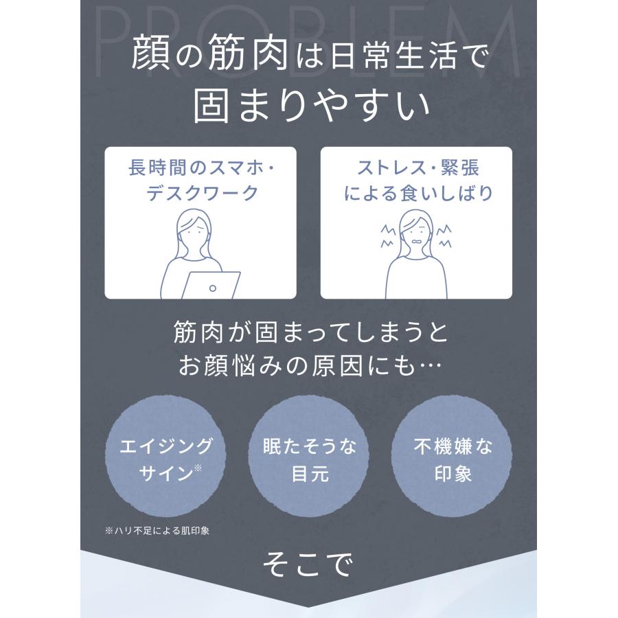 SALONIA（サロニア） 【新色登場】 SALONIAフェイスカレントポインター