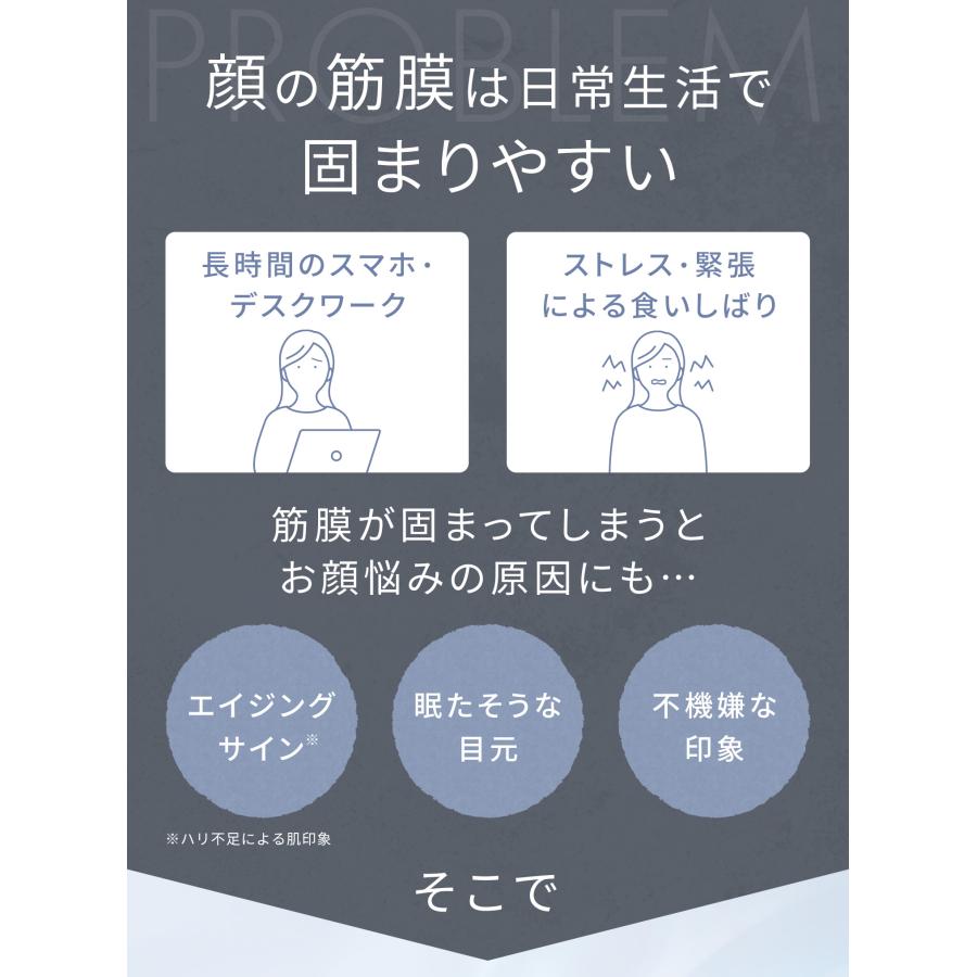 SALONIA（サロニア） 美顔器 フェイスポインター ポスポス ペン型美顔