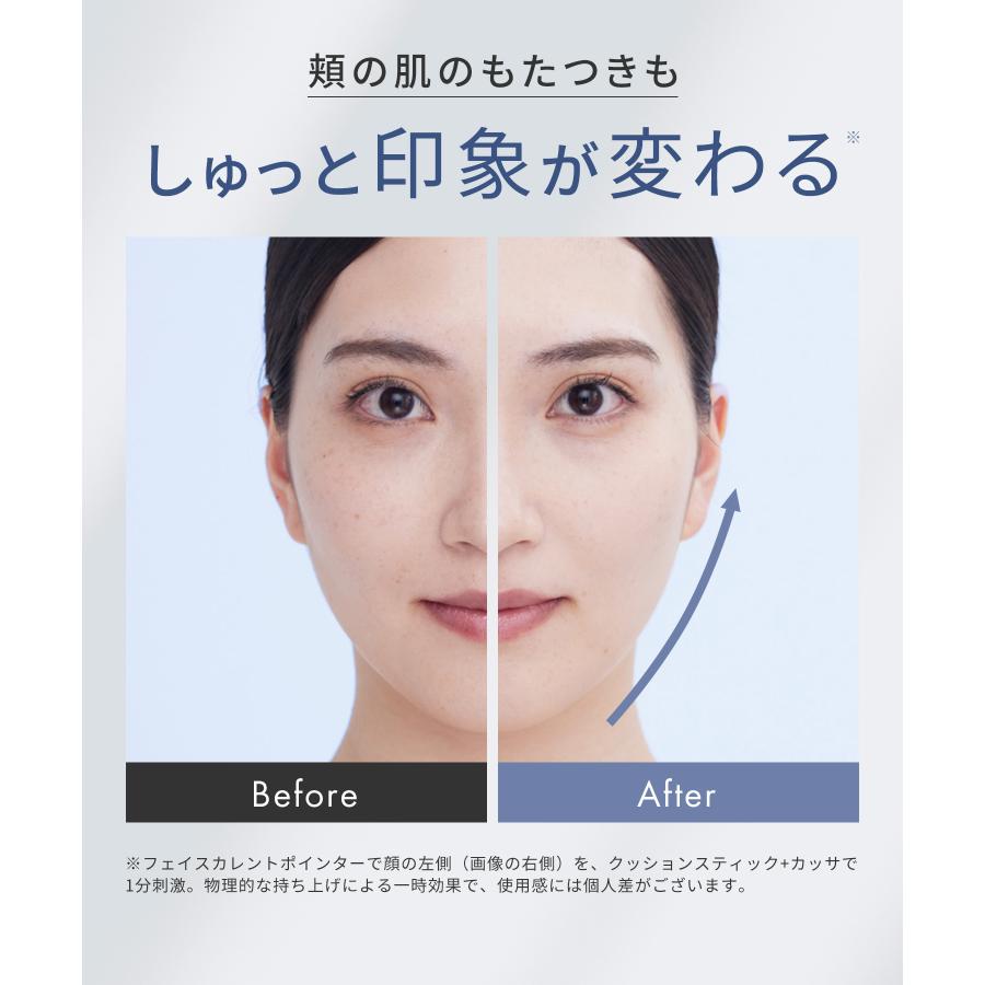 SALONIA（サロニア） フェイスカレントポインター ペン型美顔器 美顔器