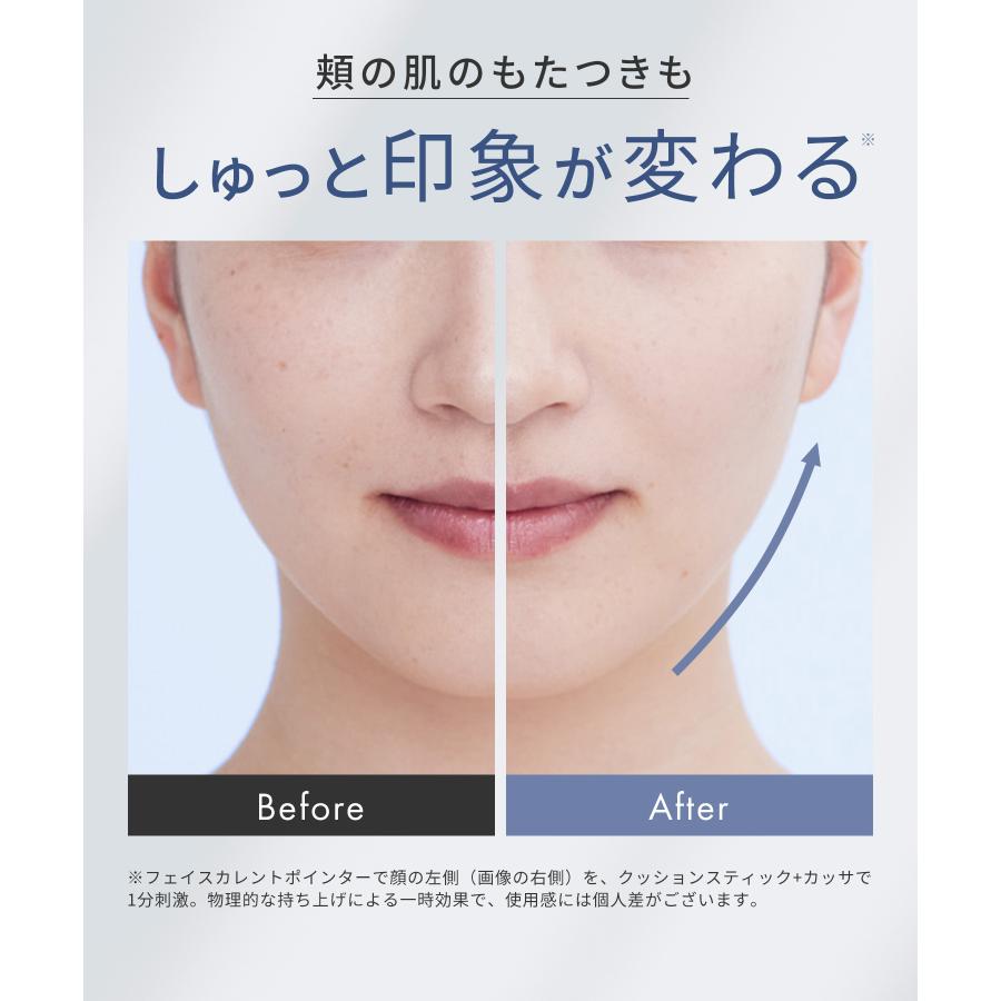 SALONIA（サロニア） 【新色登場】 SALONIAフェイスカレントポインター