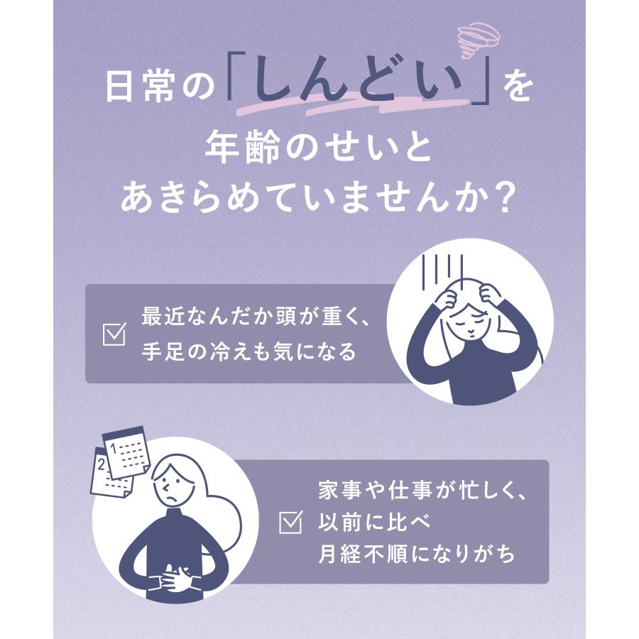 【指定第二類医薬品】Sonael ソナエル 更年期 ビタミン含有保健薬 女性 症状 不調 肩こり 頭痛 月経不順 生理 冷え性 | Sonael | 03