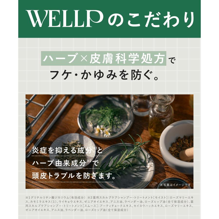 BOTANIST（旧 ブランド名：WELLP ウェルプ） 薬用スカルプケア シャンプー トリートメント モイスト スムース 医薬部外品  スカルプケア ローション 化粧品 | BOTANIST | 15