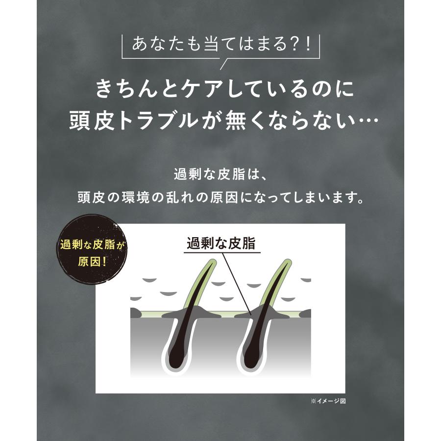 WELLP（ウェルプ） 薬用スカルプケア シャンプー トリートメント