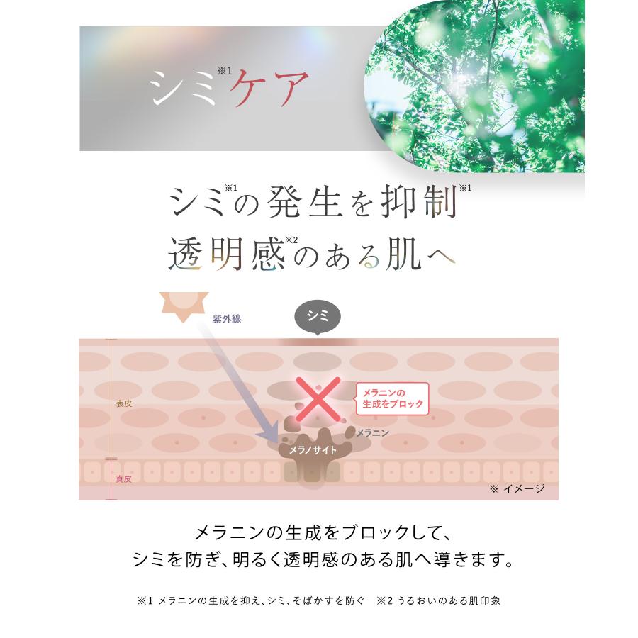 WrinkFade リンクフェード ファンデーション 薬用リンクルカバー WrinkFade リンクフェード ファンデーション 薬用リンクルカバー