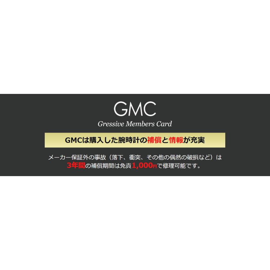 【60回払いまで無金利/純正ストラップ/ジングッズ】正規品 Sinn ジン インストゥルメント クロノグラフ 自動巻き メンズ腕時計 送料無料 717 | Sinn | 05