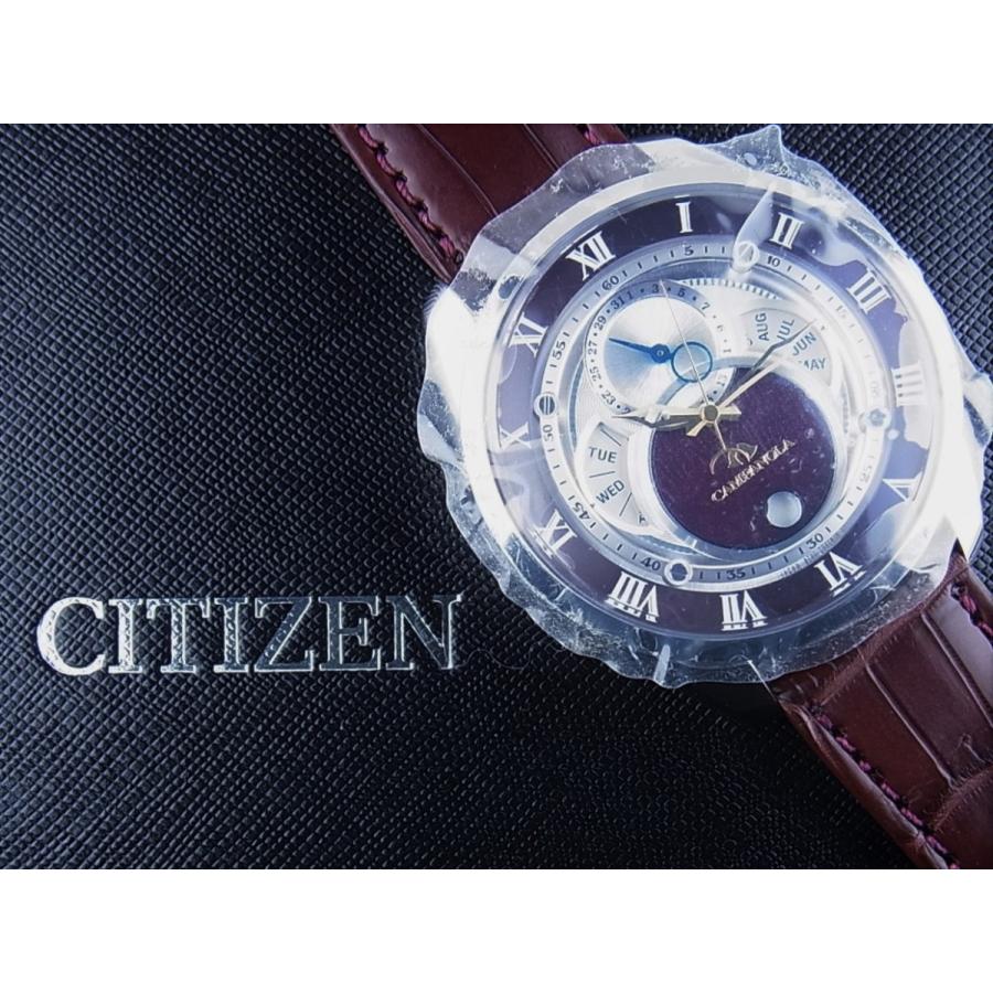 カンパノラエコドライブ　深緋（こきあけ）BU0020-03B　新品 | CAMPANOLA | 10