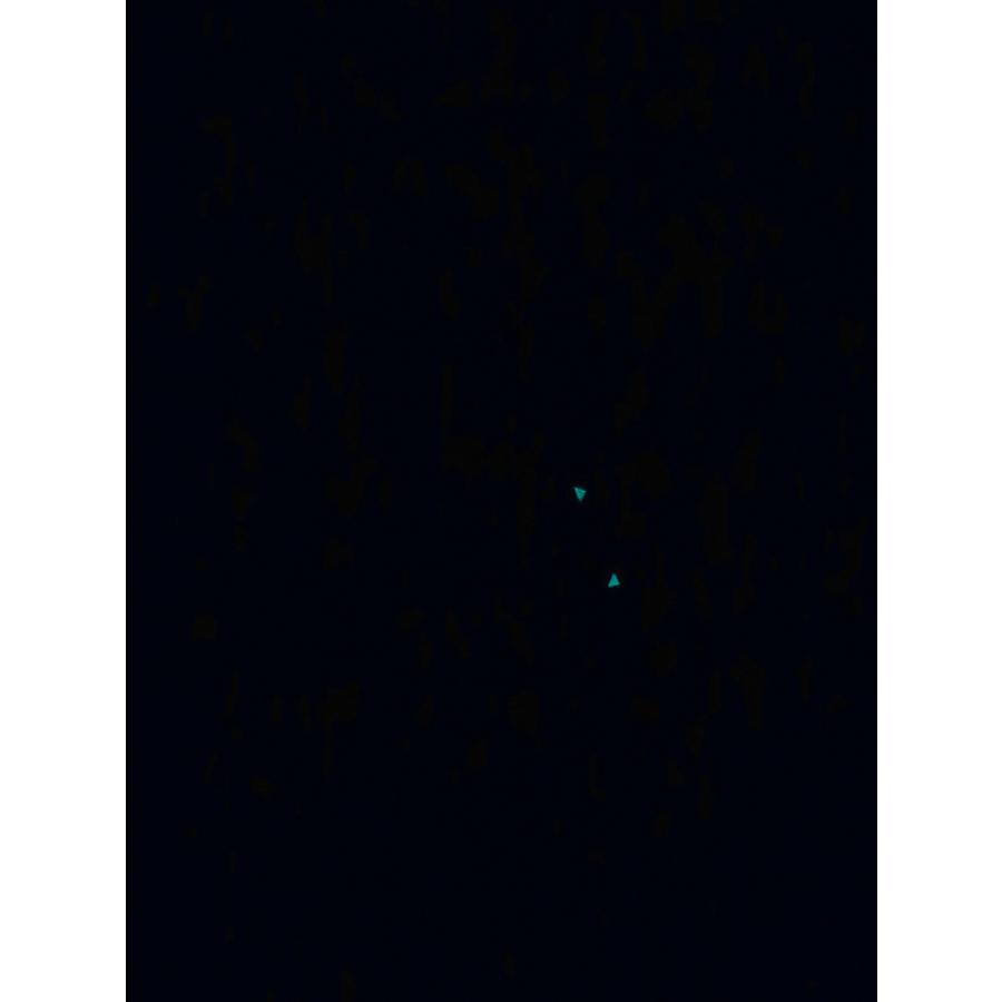 ローマンジェローム スペースインベーダー 世界78本限定 RJ.M.AU.IN.021.01 新品 | ROMAIN JEROME | 10