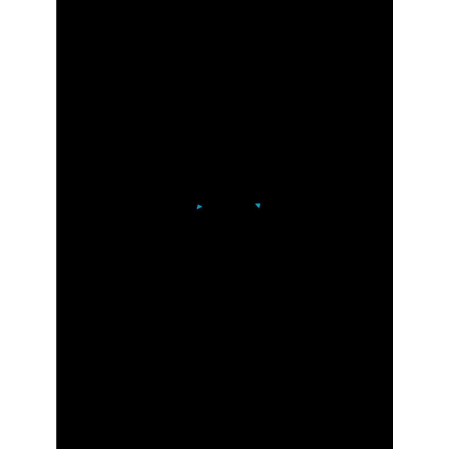 ロマンジェローム スペースインベーダー 世界限定78本 RJ.M.AU.IN.021.03 新品 | ROMAIN JEROME | 10