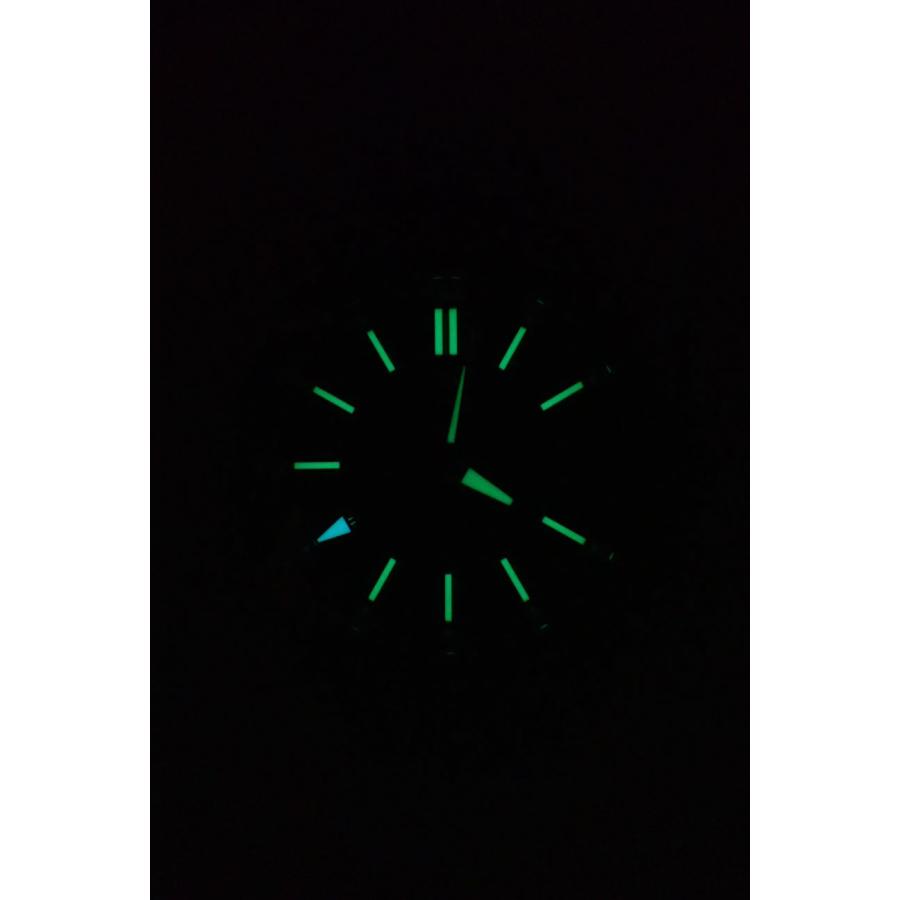 グランドセイコー エボリューション９ スプリングドライブ GMT チタン SBGE283(9R66-0BJ0) 新品 | Grand Seiko | 10