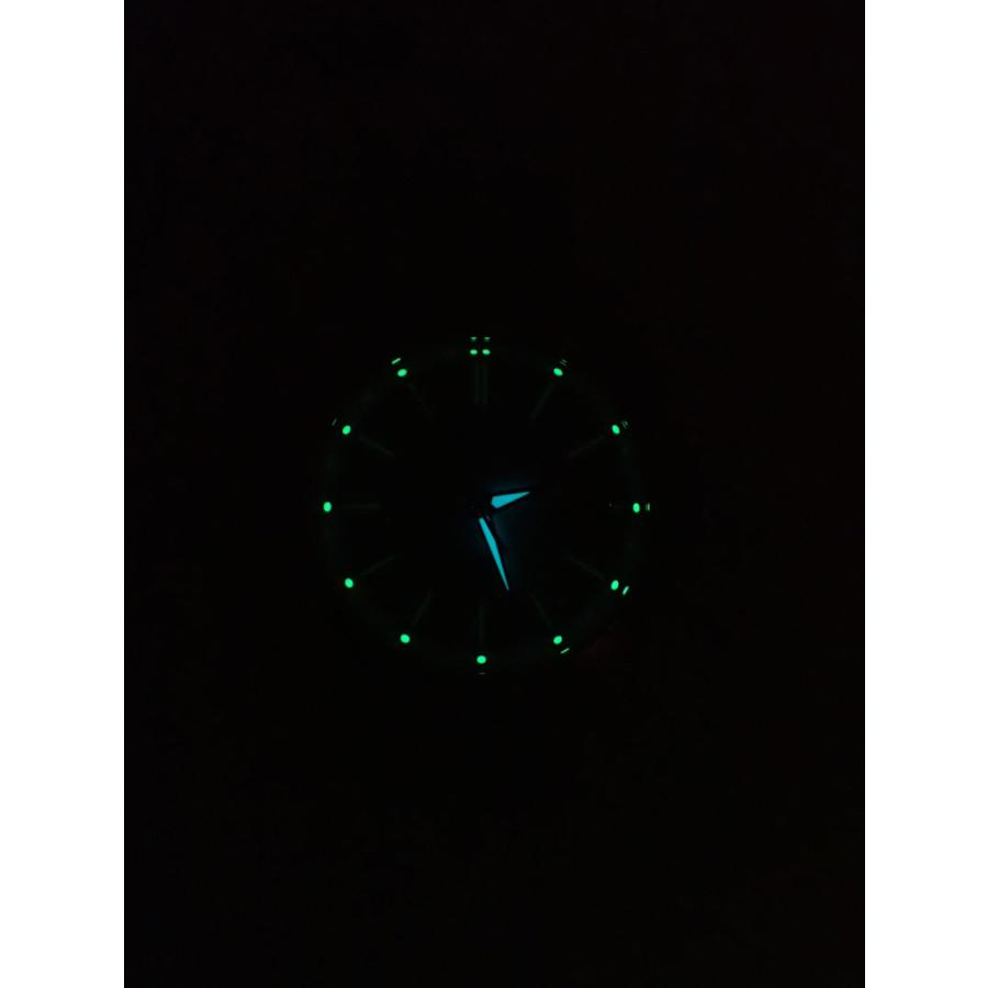 シチズン ザ・シチズン エコドライブ 土佐和紙文字盤 AQ4091-56A(A060-T027351) 新品 | The CITIZEN | 10
