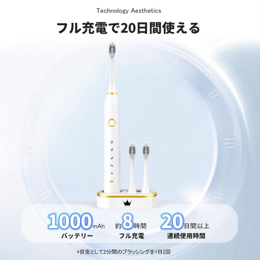 電動歯ブラシ 音波歯ブラシ 5本替えブラシ 歯ブラシ 38000回転 電動歯ブラシ 音波歯ブラシ 5本替えブラシ 歯ブラシ 38000回転
