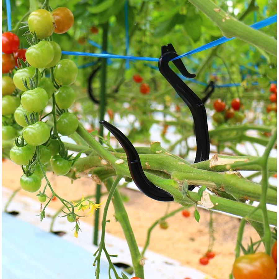 シーム 誘引資材 カケタロ 100p 黒 その他 ギフトラッピングのご希望 希望する 0円 Avenida7 Com